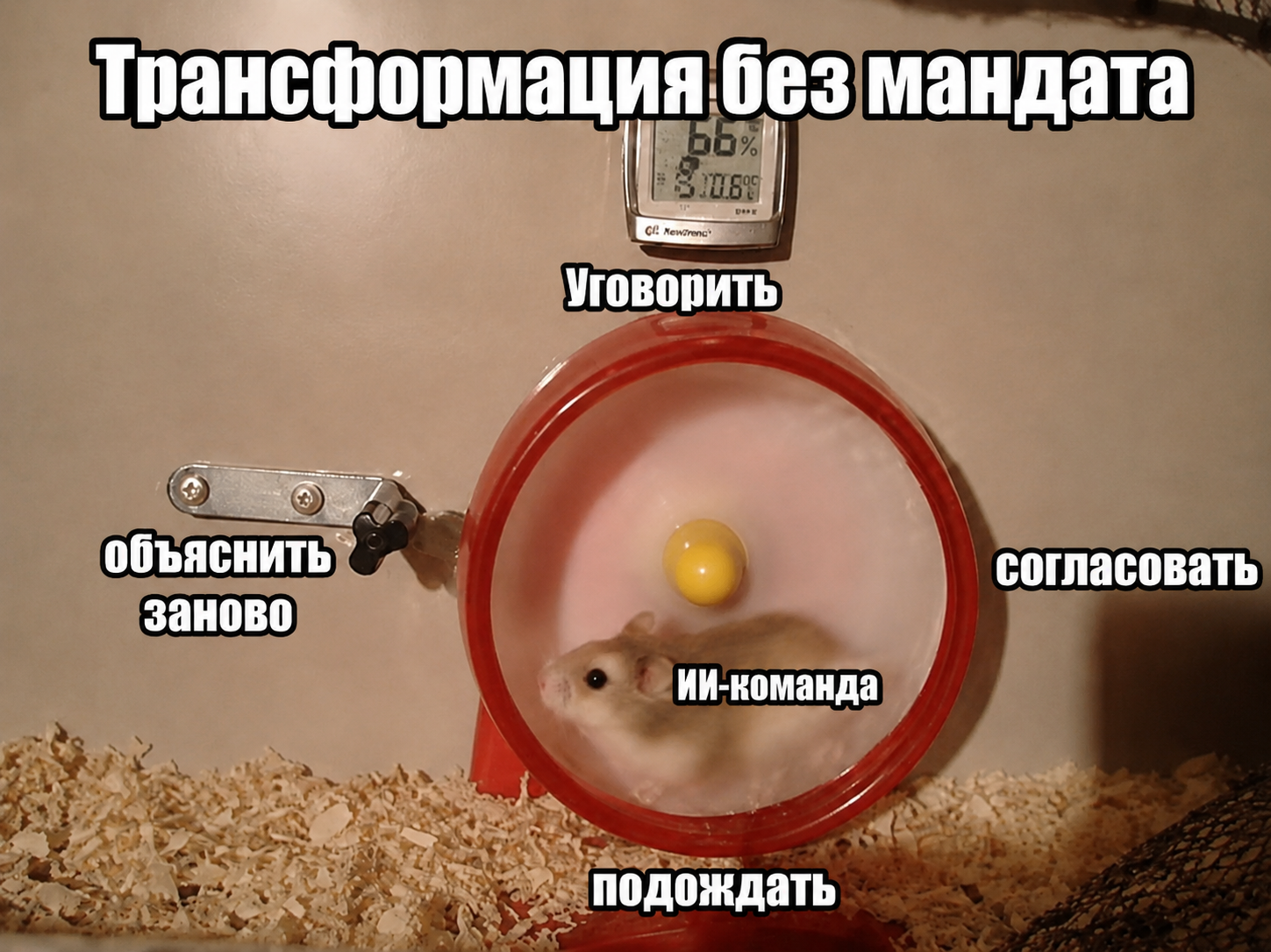 ИИ-команда получает ответственность без мандата