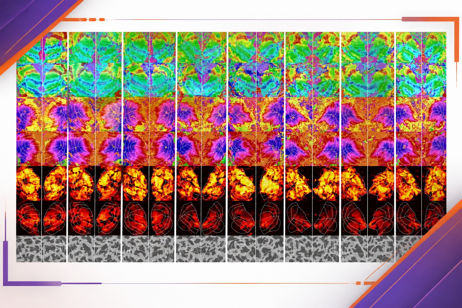 Cover: A brain-scan AI reconstructs images, but access is the bigger question
