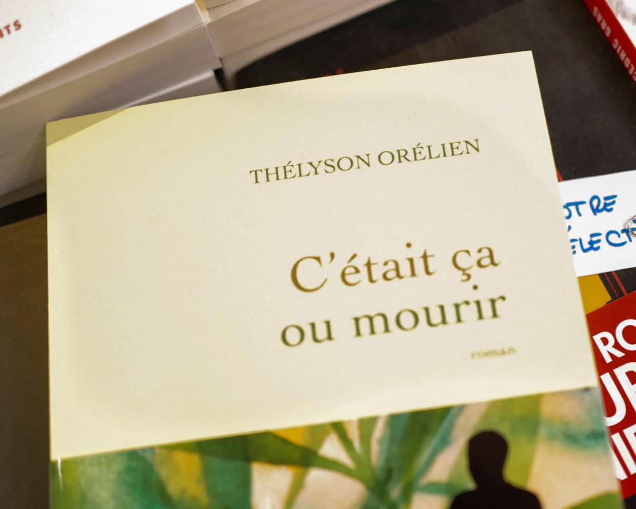 The novel on display inside a bookstore in Paris. Photograph: Sarah Meyssonnier/Reuters