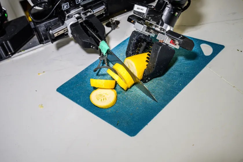 Once the AI is trained, the team presents it a task it has not seen before, such as chopping this summer squash. When a robot hasn’t seen the exact task before — it may wonder if that’s a yellow zucchini, or an unusual banana — it can mess up. But any failures can be used to help refine the model.
