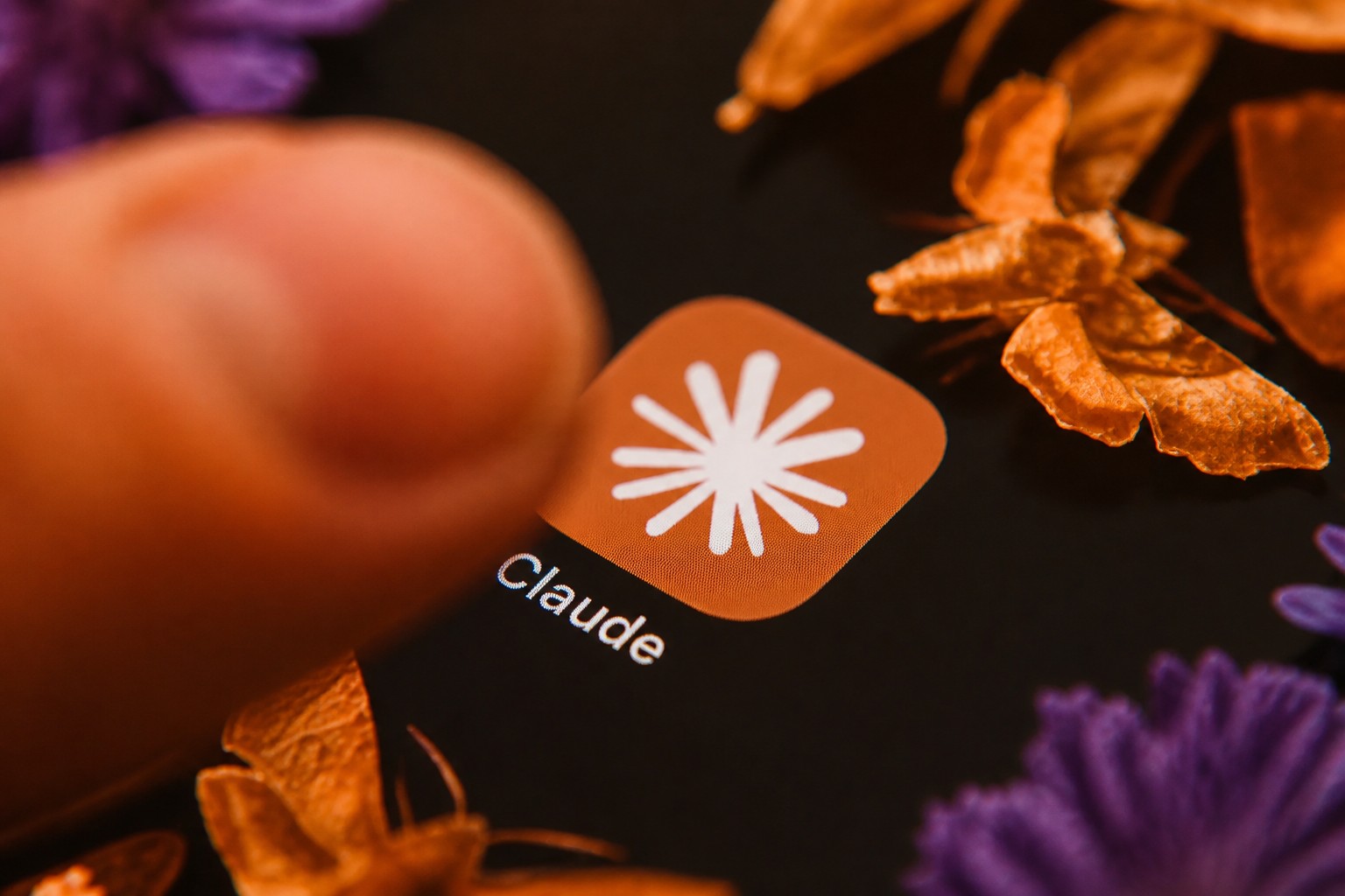 Cover: Anthropic offers startups a year of Claude Team and $1,000 in API credits
