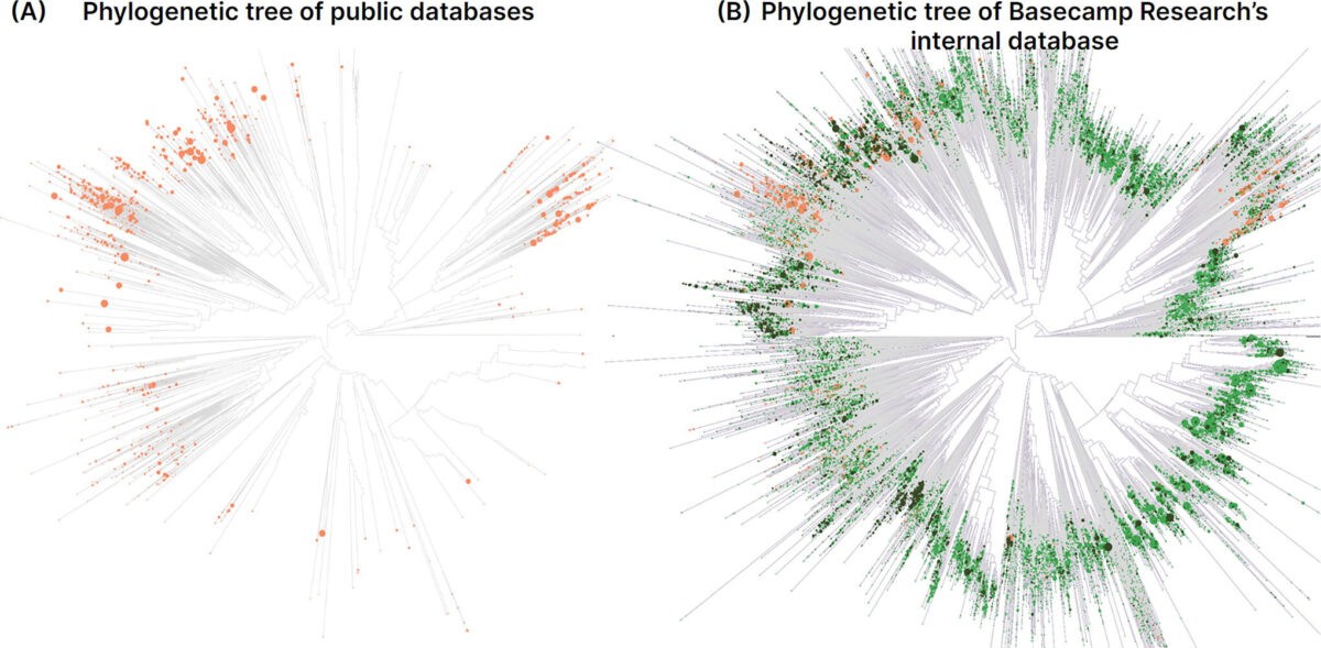This figure from a 2024 paper compares the protein diversity captured in public databases with Basecamp's holdings at the time. | Image: Vince, Gowers, and McGibbon, GEN Biotechnology, CC BY 4.0