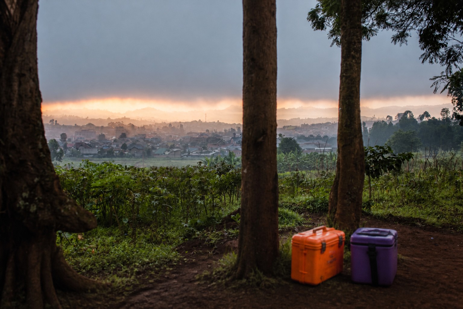 Cover: Claude turns Ebola outbreak reporting into a sub-hour workflow