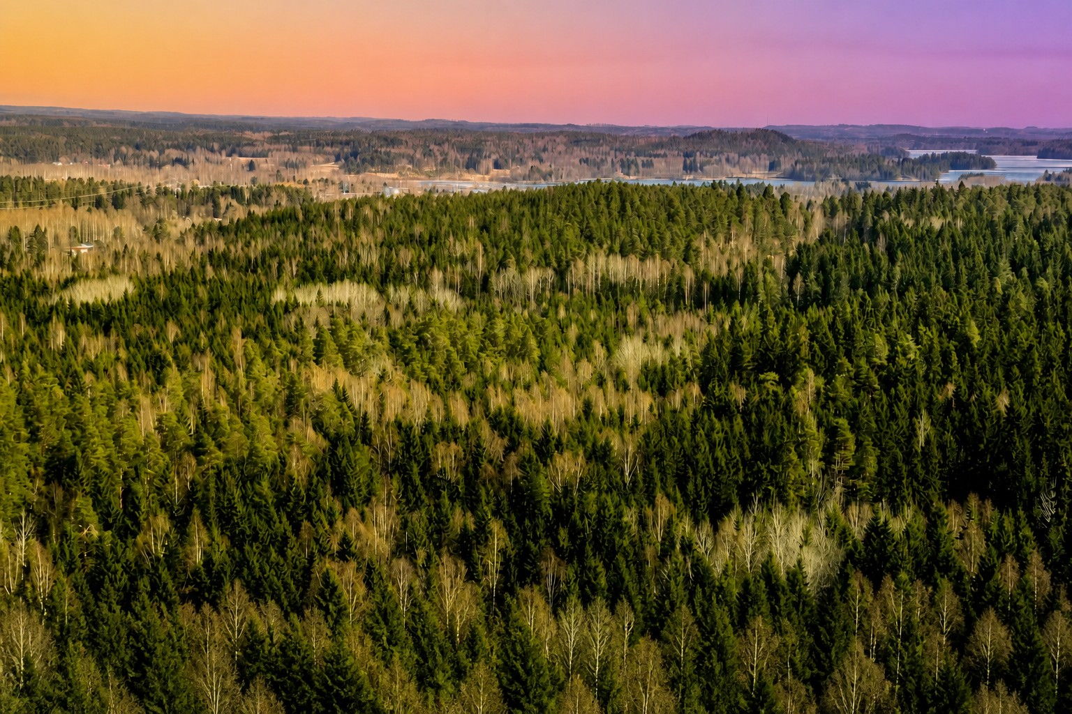 Cover: Finland orders halt to Google data center site work