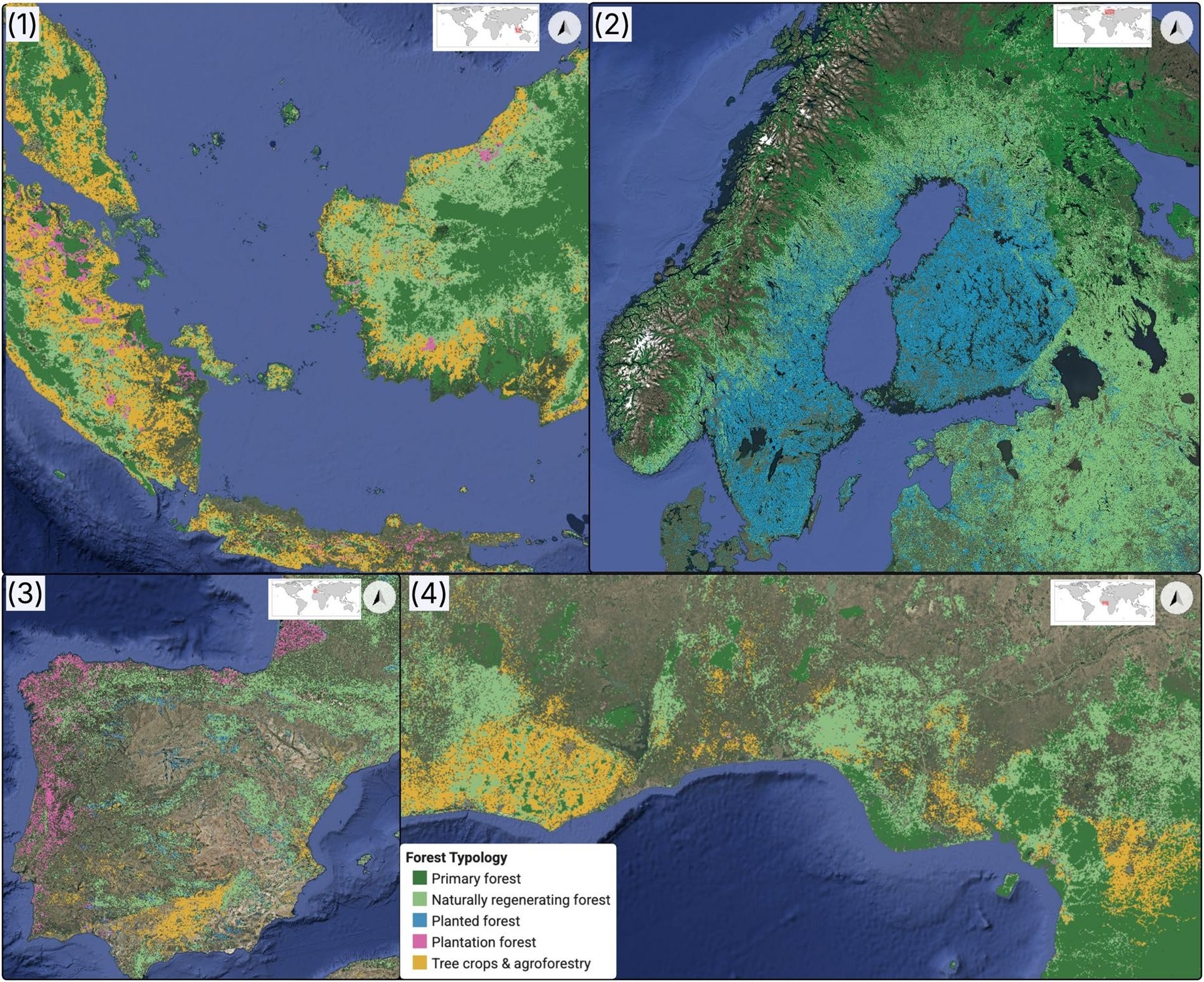 Tree crops and plantations dominate in Southeast Asia, while planted forests account for most of the forest area in Sweden and Finland. | Image: Google Deepmind
