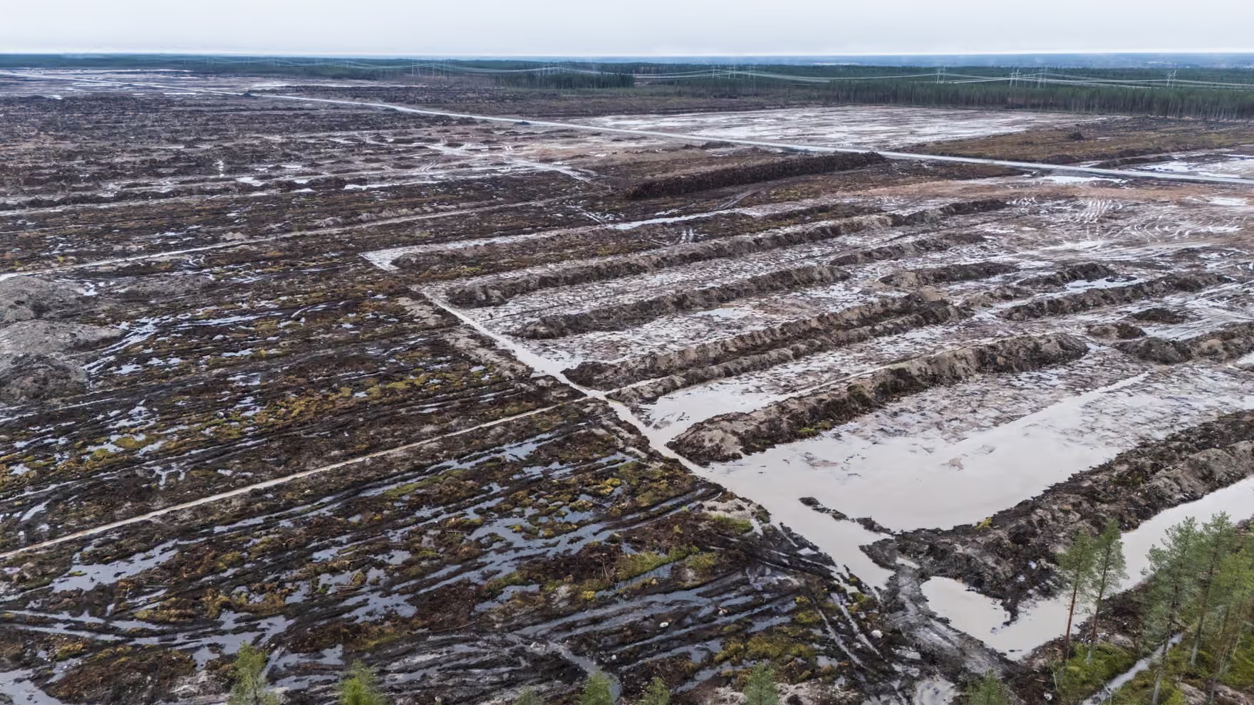Google’s clearcut area is 3km long and 2km wide, 330 hectares in total, and 400 metres from the Oulujoki River. Photograph: Jarno Artika/The Guardian
