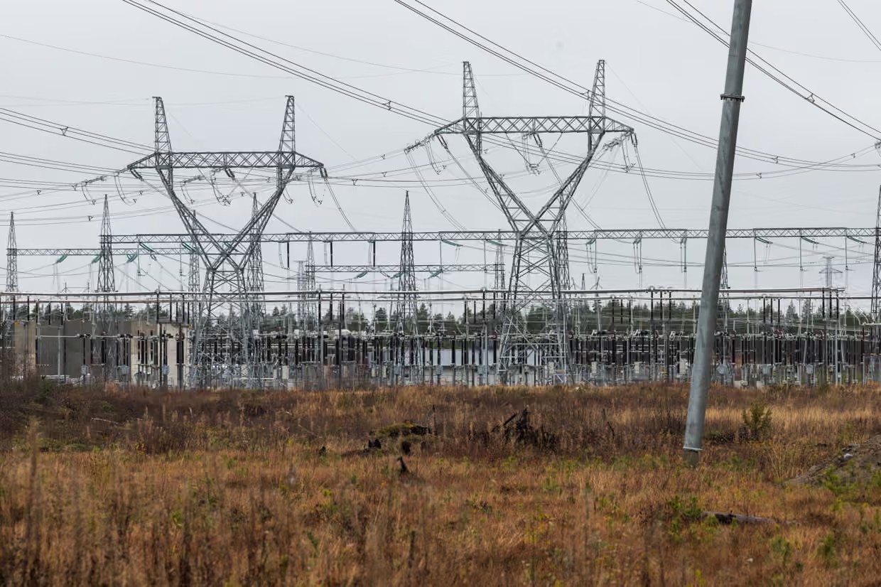 Three electrical pylons next to the Google clearcut. Photograph: Jarno Artika/The Guardian