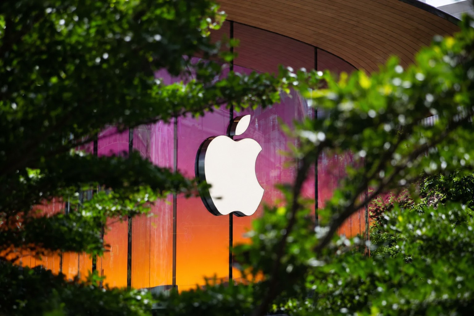 Обложка: Создатель магазинов Apple не верит в ставку Кремниевой долины на шопинг с ИИ